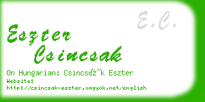 eszter csincsak business card